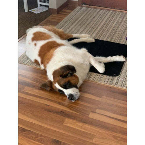 Tapis d'ancrage à la terre